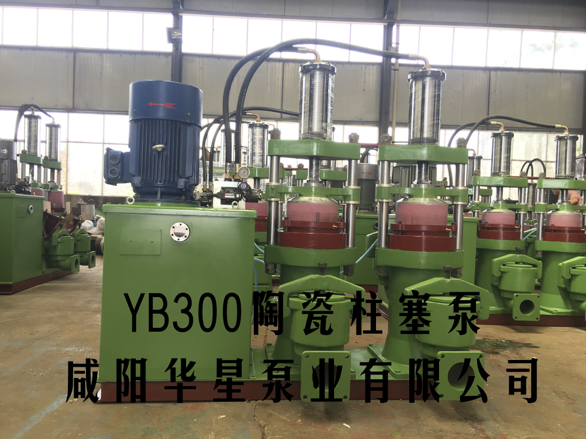 YB300-30壓濾機(jī)專(zhuān)用泵